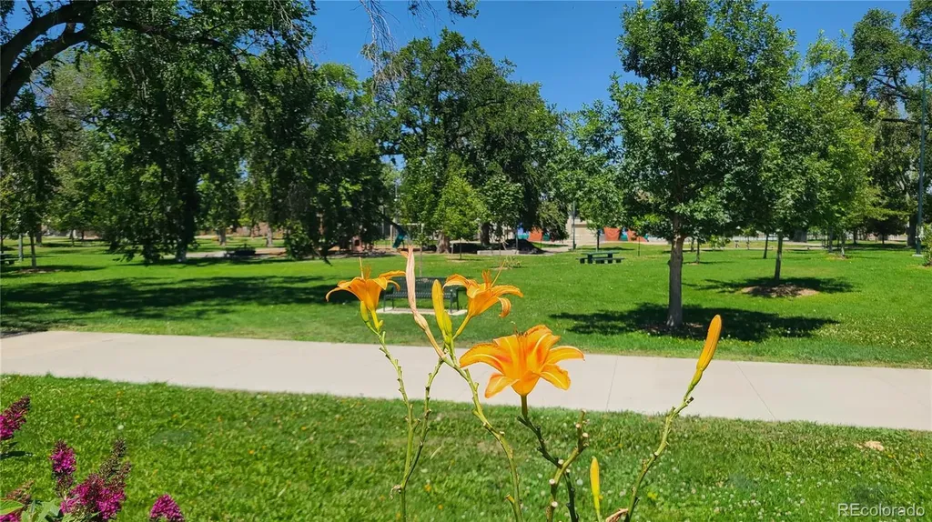 3032 Champa Street Denver CO 80205