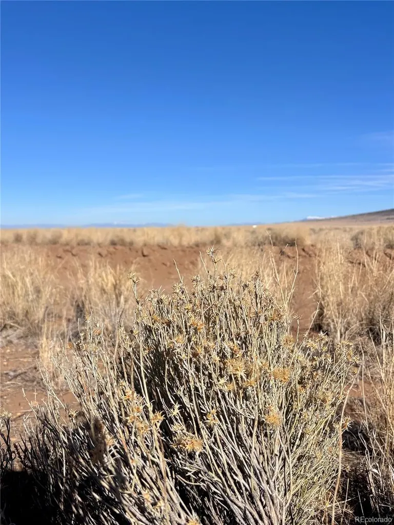 Lot 4 13th Street Blanca CO 81123