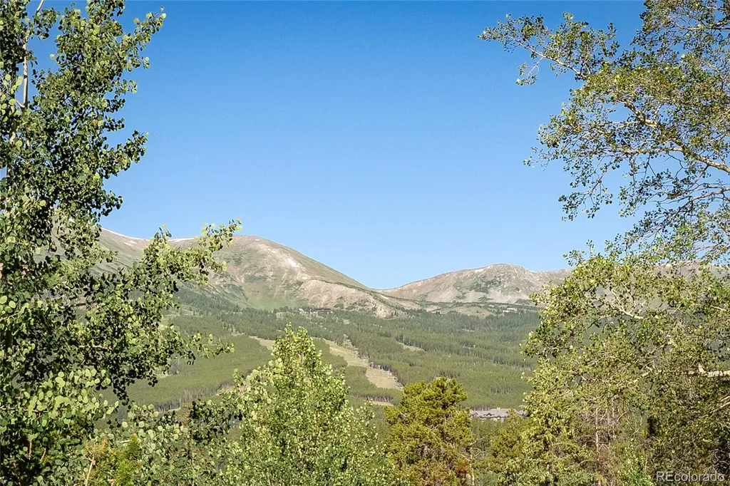 214 Wellington Road Breckenridge CO 80424