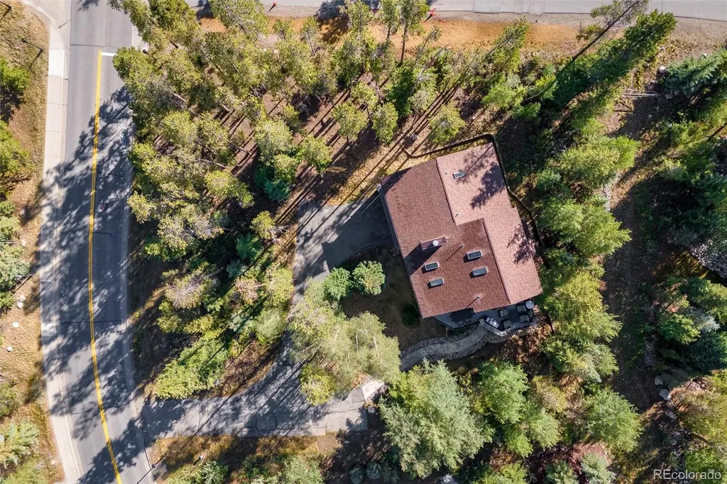 214 Wellington Road Breckenridge CO 80424