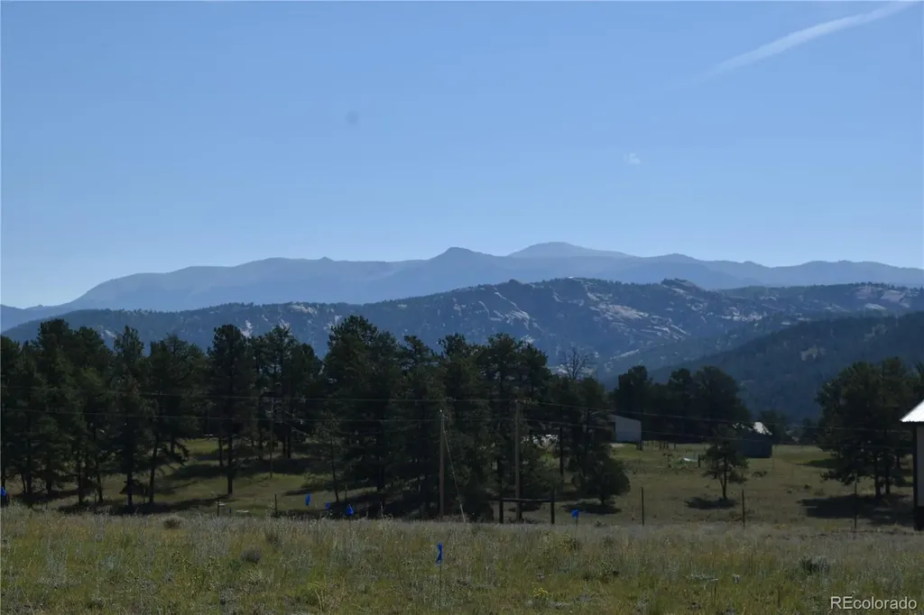 431 High Chateau Road Florissant CO 80816