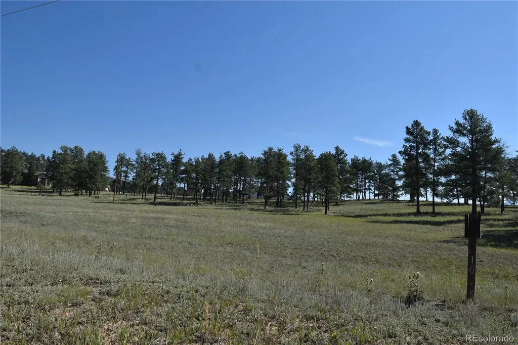 431 High Chateau Road Florissant CO 80816