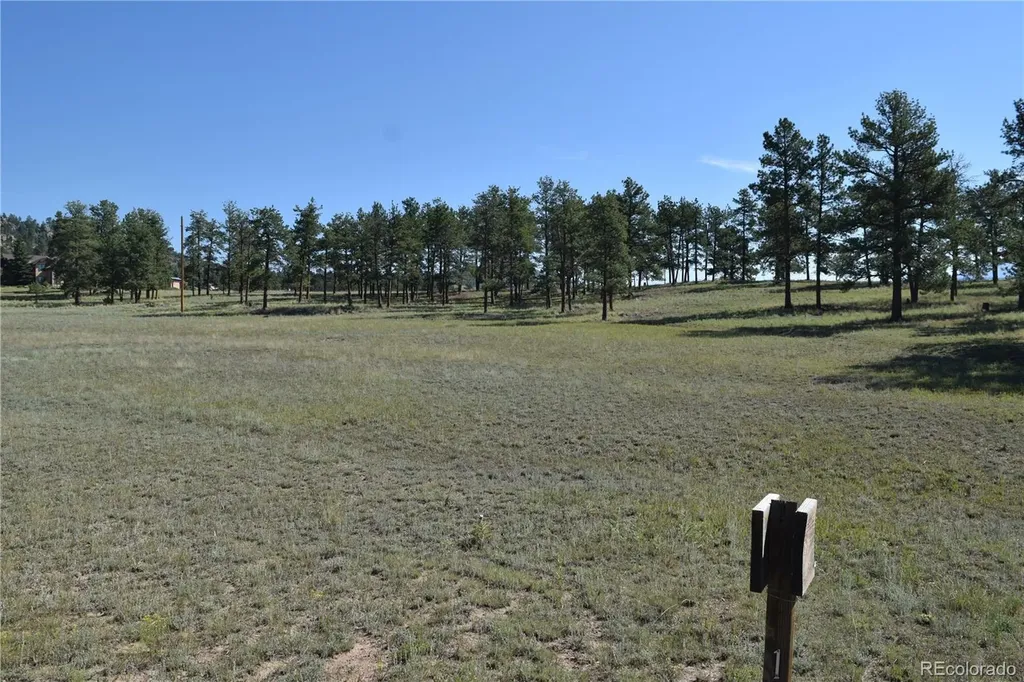 431 High Chateau Road Florissant CO 80816