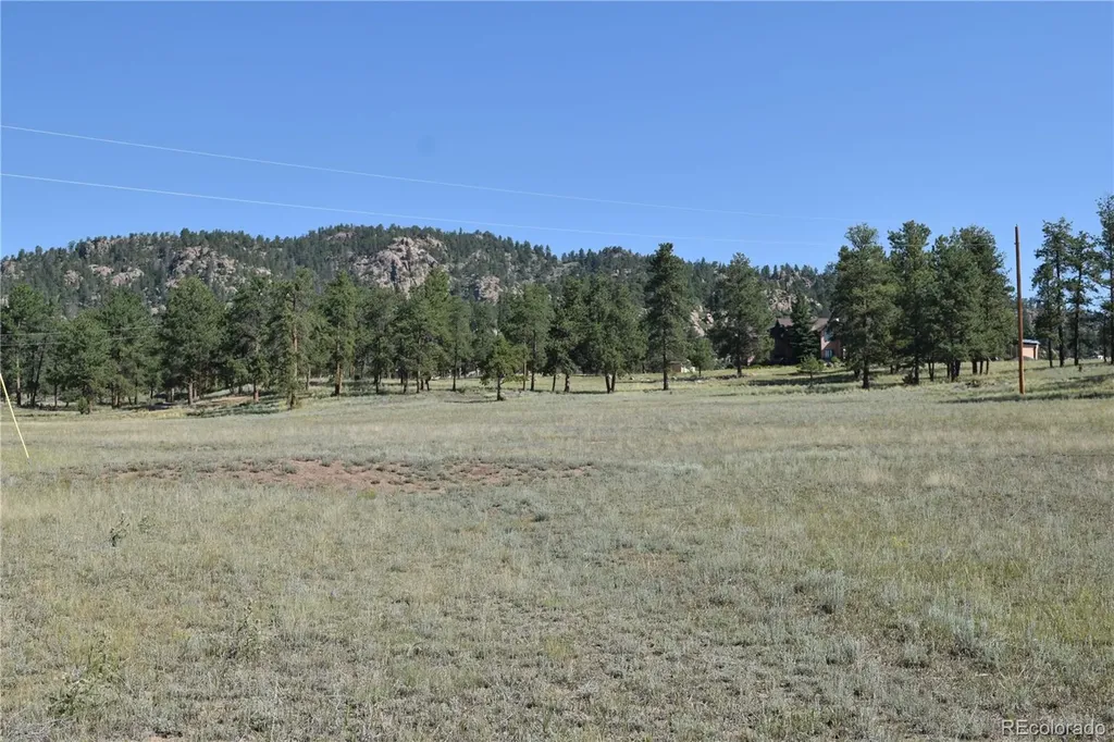 431 High Chateau Road Florissant CO 80816