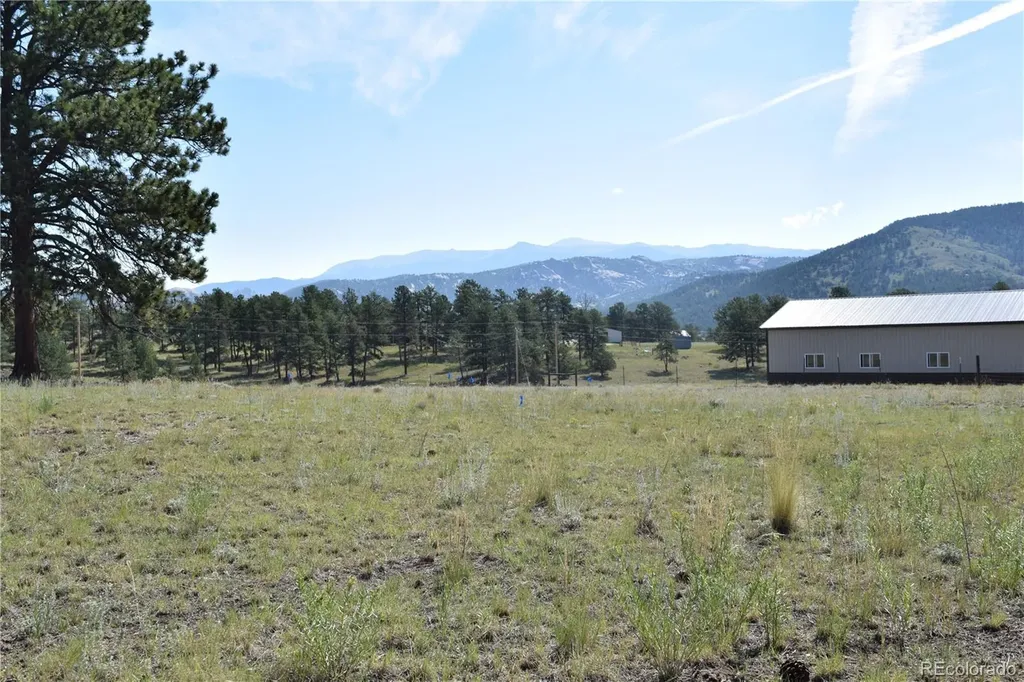 431 High Chateau Road Florissant CO 80816