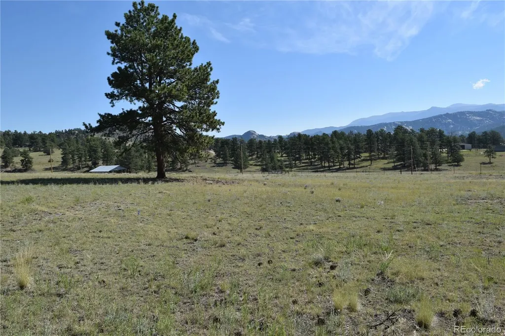431 High Chateau Road Florissant CO 80816