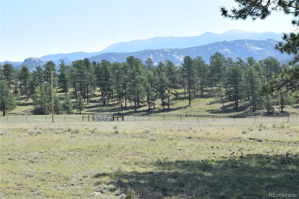 431 High Chateau Road Florissant CO 80816