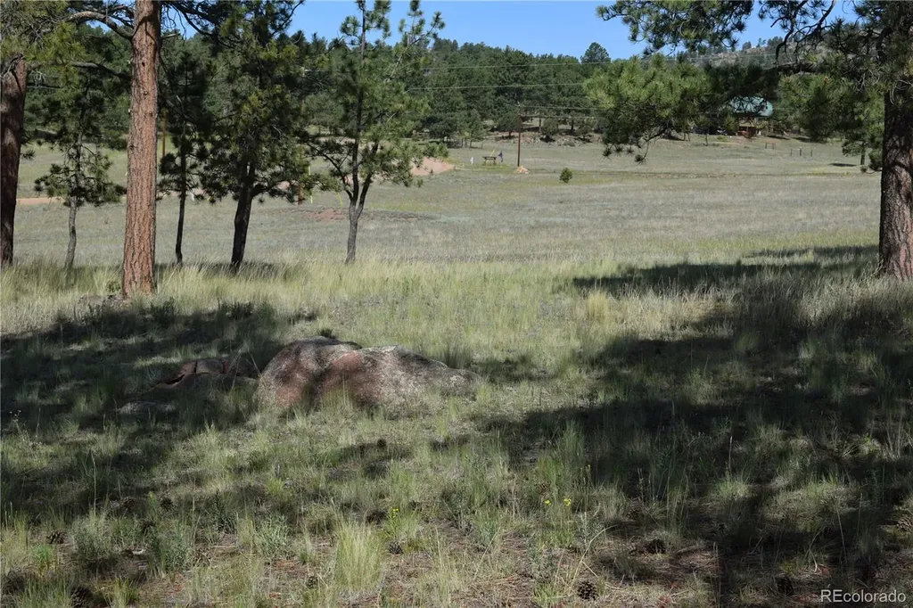 431 High Chateau Road Florissant CO 80816