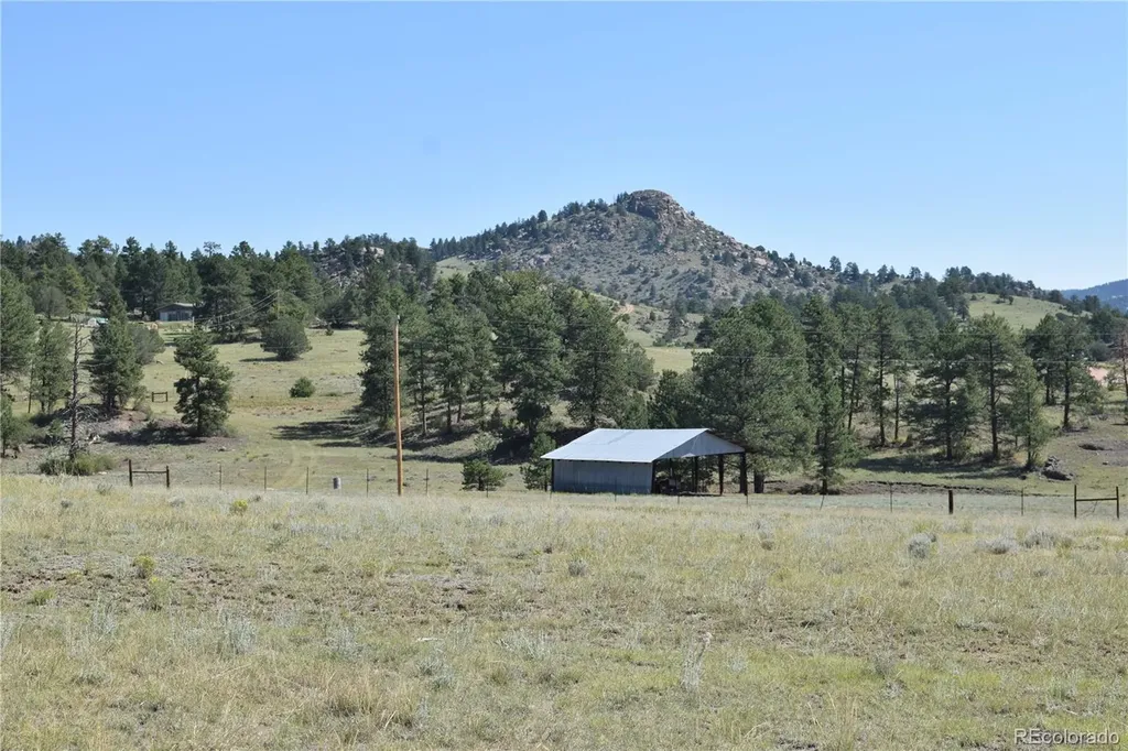 431 High Chateau Road Florissant CO 80816