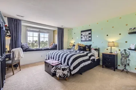6411 Sand Rose Court Castle Rock CO 80108