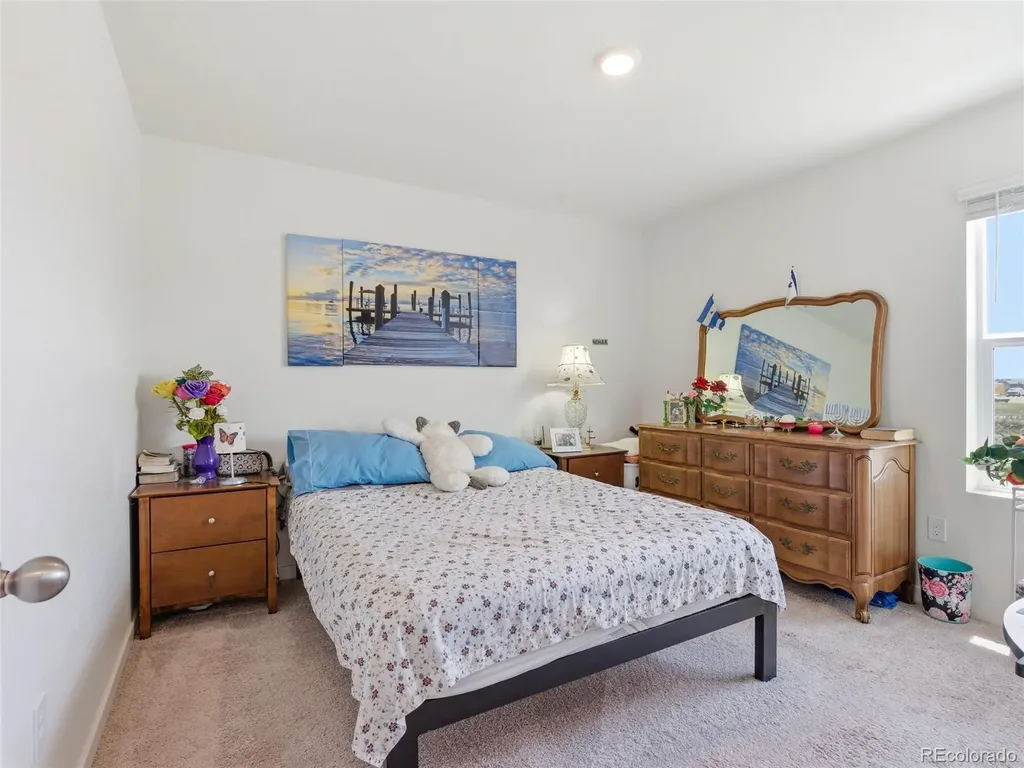 905 William Way Brighton CO 80603