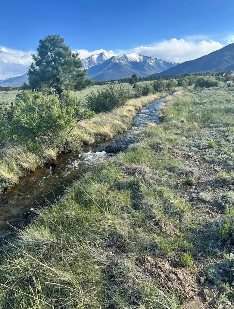 000 County Road 361 Buena Vista CO 81211