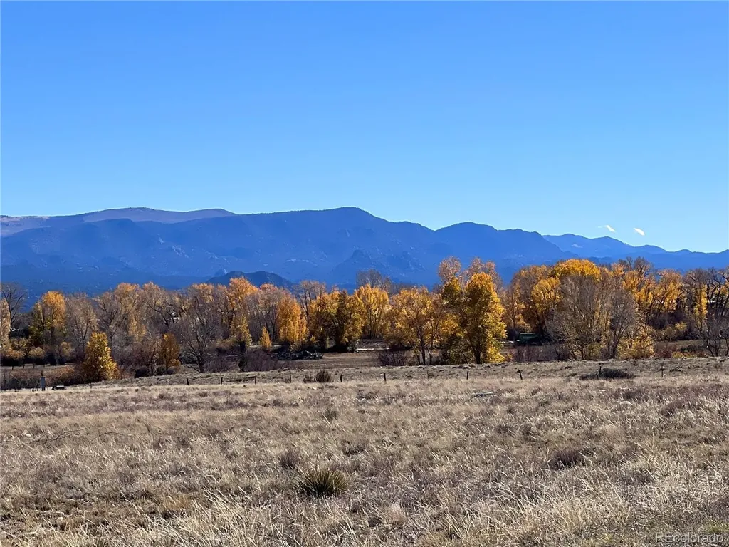 000 County Road 361 Buena Vista CO 81211