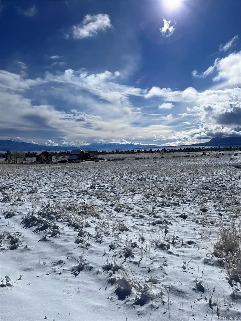 000 County Road 361 Buena Vista CO 81211