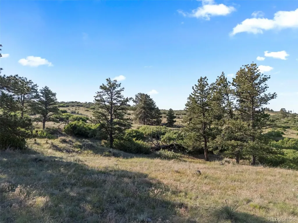 13500 Pine Drive Parker CO 80138