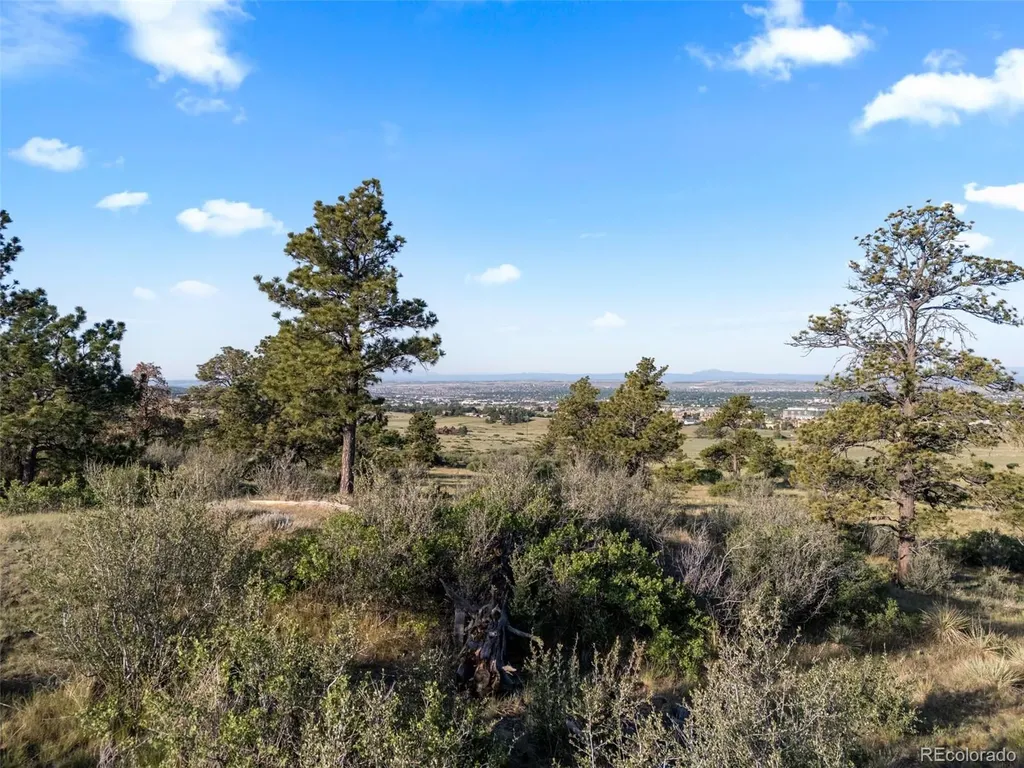13500 Pine Drive Parker CO 80138