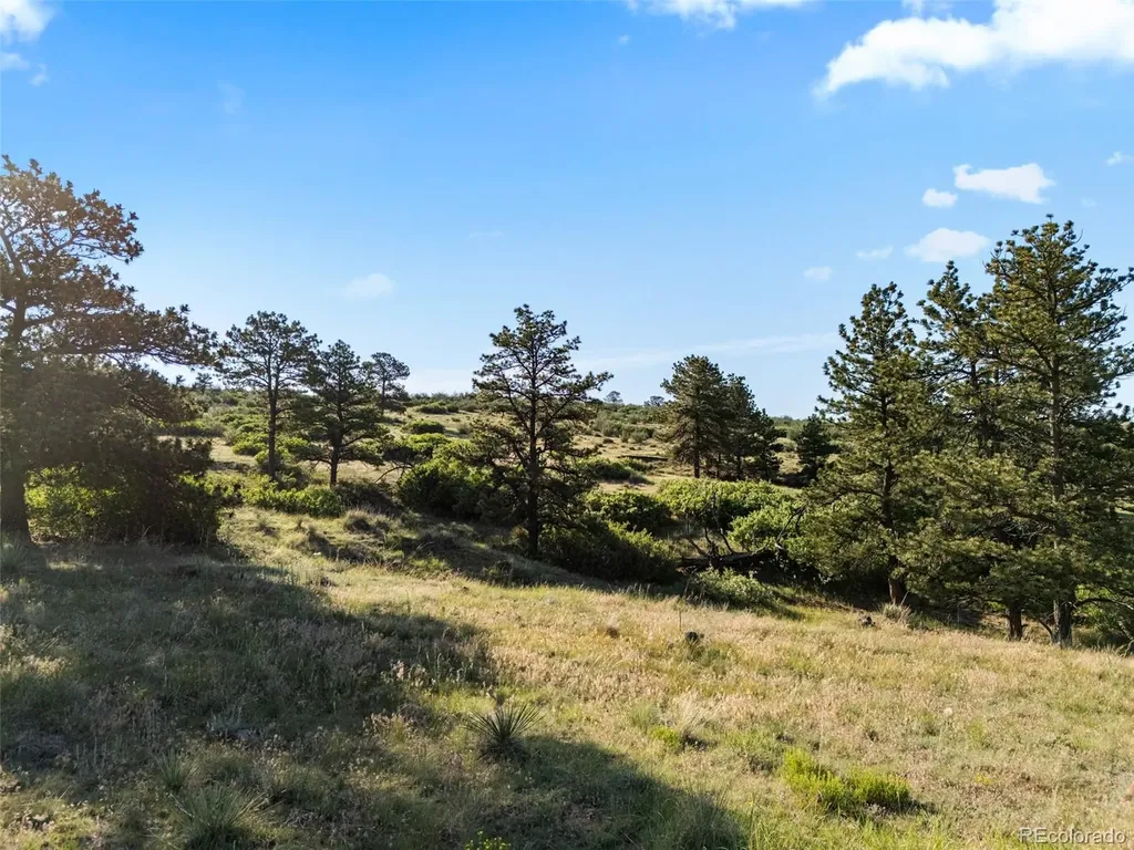 13500 Pine Drive Parker CO 80138