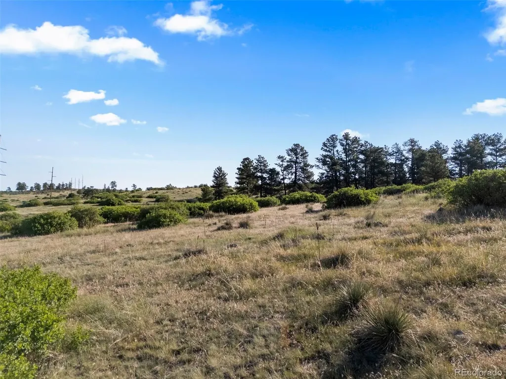 13500 Pine Drive Parker CO 80138