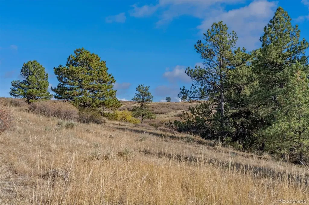 13500 Pine Drive Parker CO 80138