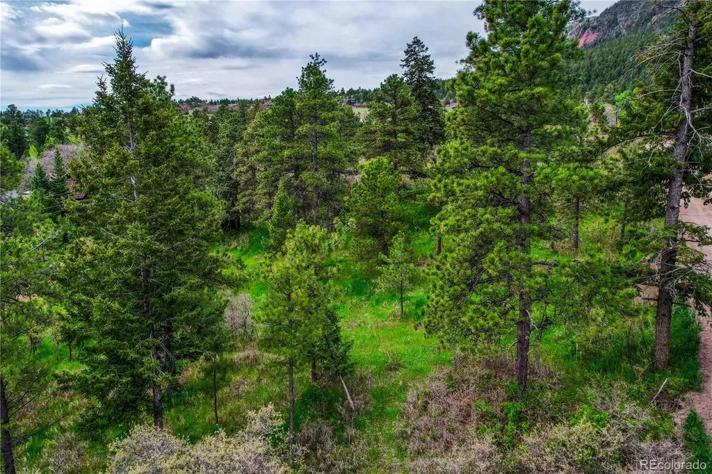 0 Buena Vista Avenue Palmer Lake CO 80133