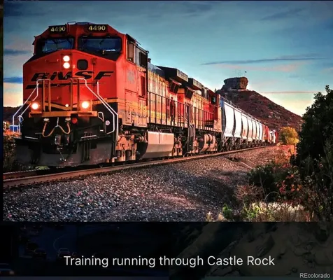 474 Black Feather Loop Castle Rock CO 80104
