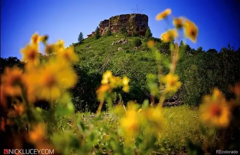 474 Black Feather Loop Castle Rock CO 80104