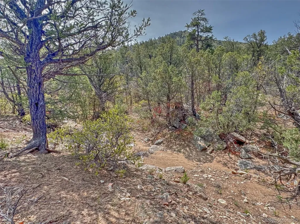 Tbd Lot 34 Corral N Cotopaxi CO 81223