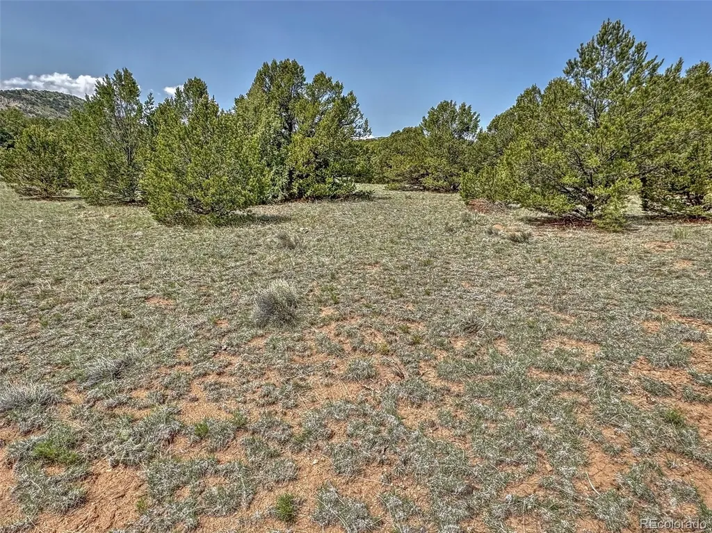 Tbd Lot 34 Corral N Cotopaxi CO 81223