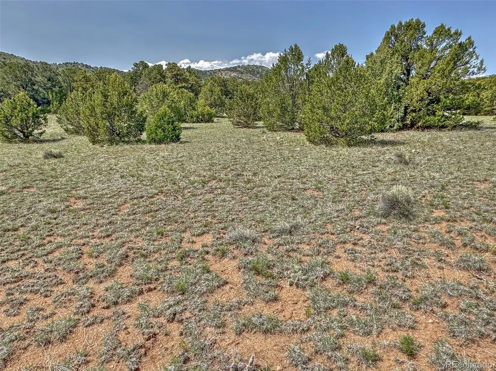 Tbd Lot 34 Corral N Cotopaxi CO 81223