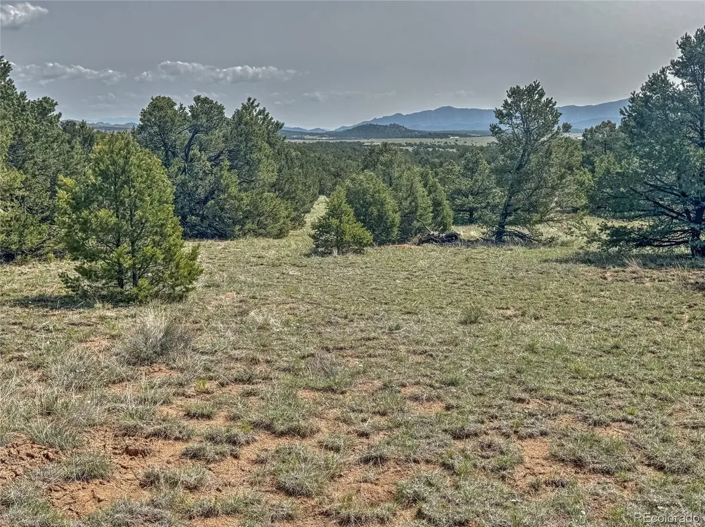 Tbd Lot 34 Corral N Cotopaxi CO 81223