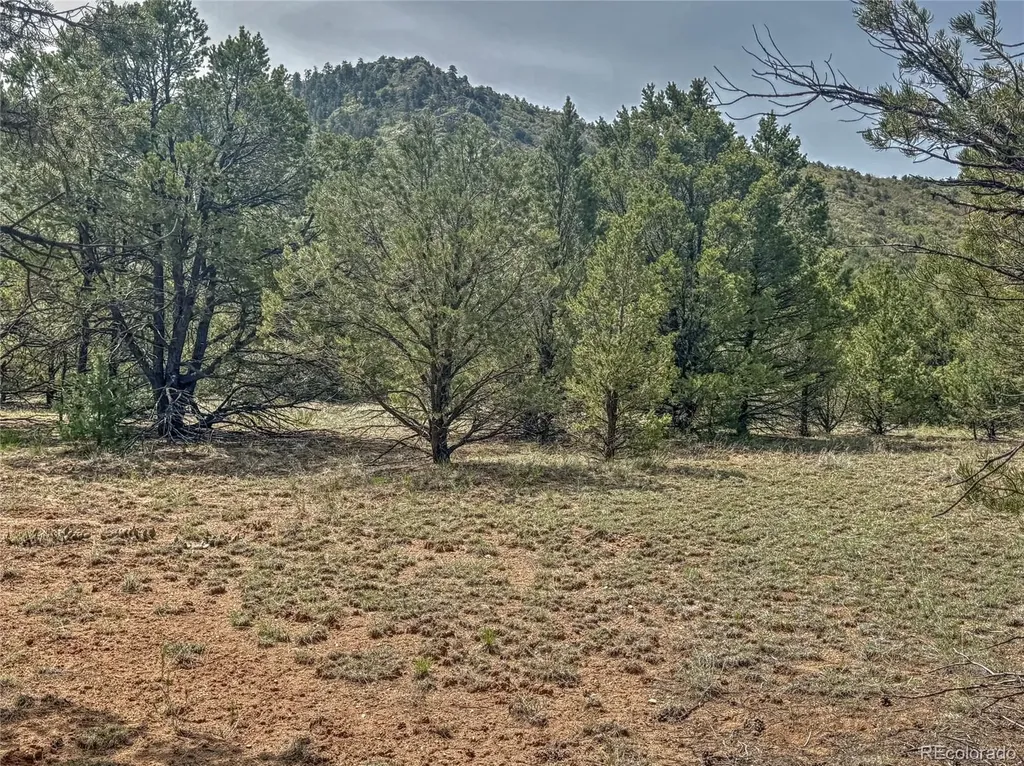 Tbd Lot 34 Corral N Cotopaxi CO 81223