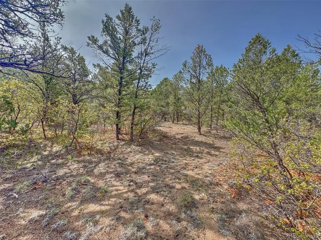 Tbd Lot 34 Corral N Cotopaxi CO 81223