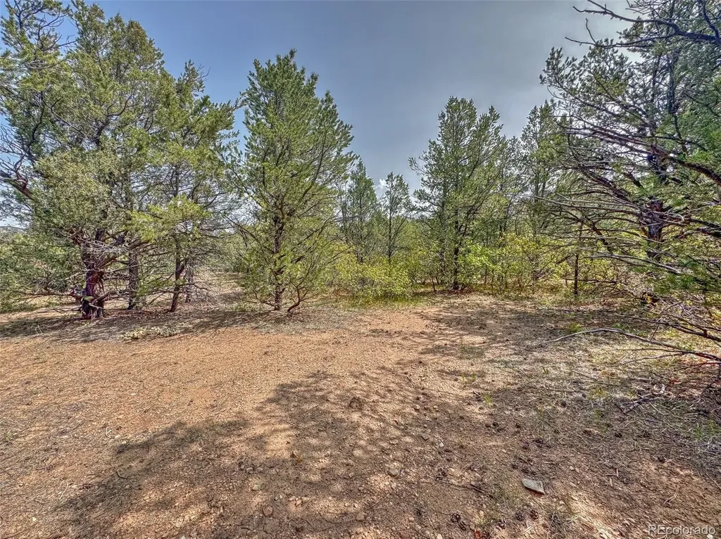 Tbd Lot 34 Corral N Cotopaxi CO 81223