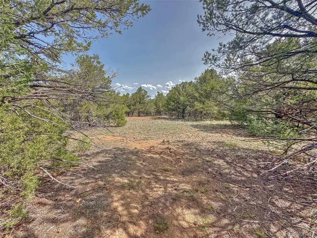 Tbd Lot 34 Corral N Cotopaxi CO 81223