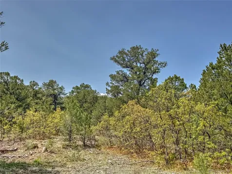 Tbd Lot 34 Corral N Cotopaxi CO 81223