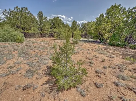Tbd Lot 34 Corral N Cotopaxi CO 81223
