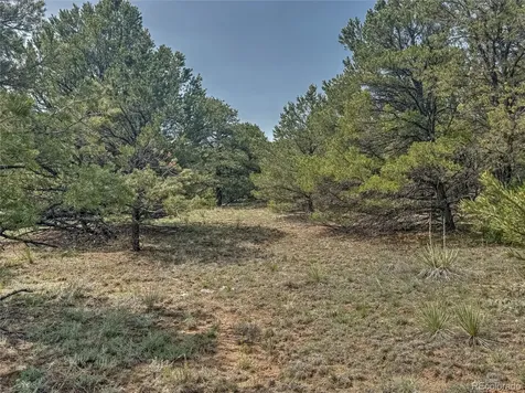 Tbd Lot 34 Corral N Cotopaxi CO 81223