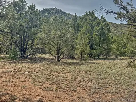 Tbd Lot 34 Corral N Cotopaxi CO 81223