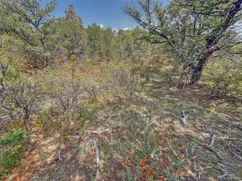 Tbd Lot 34 Corral N Cotopaxi CO 81223