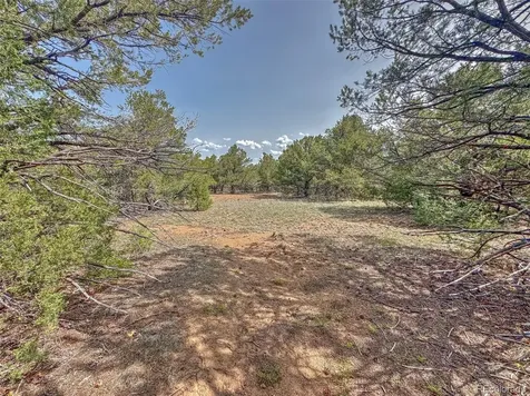 Tbd Lot 34 Corral N Cotopaxi CO 81223
