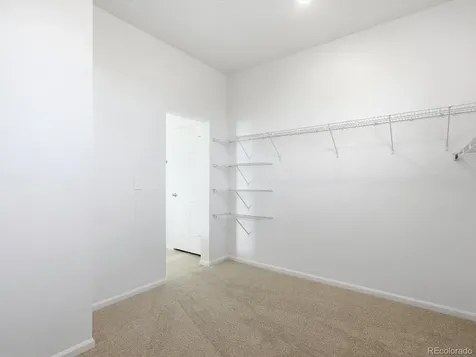 1608 Rumley Creek Drive Windsor CO 80550