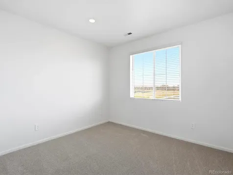 1608 Rumley Creek Drive Windsor CO 80550
