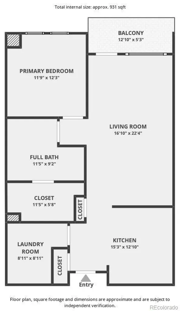 20 Wilcox Street Castle Rock CO 80104
