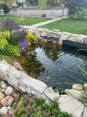 7303 W 59th Avenue Arvada CO 80003