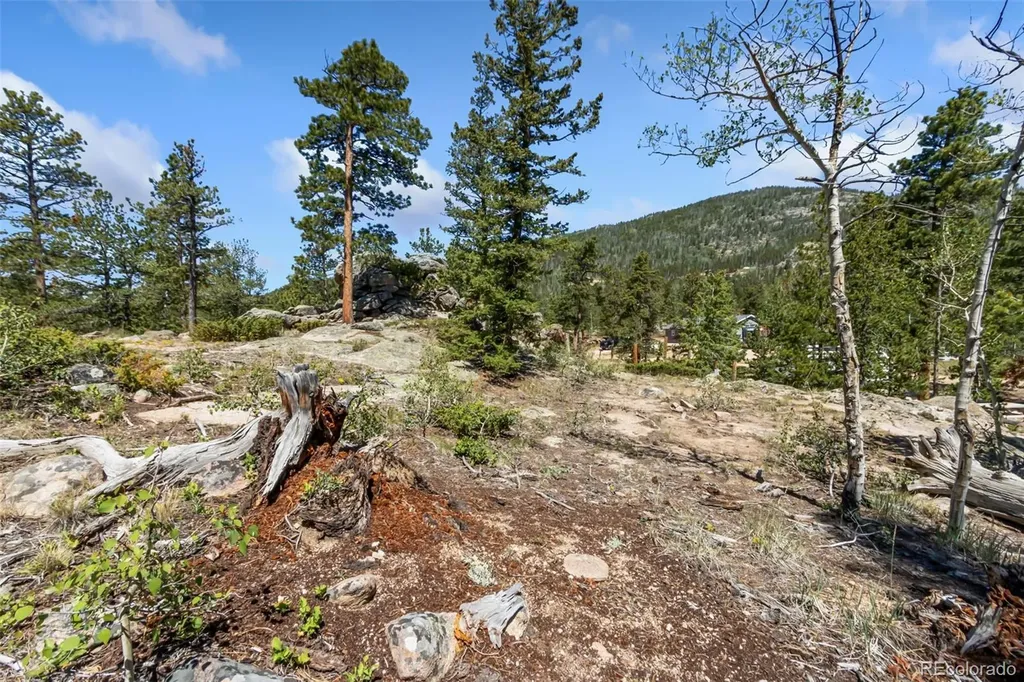 11 Inca Court Red Feather Lakes CO 80545