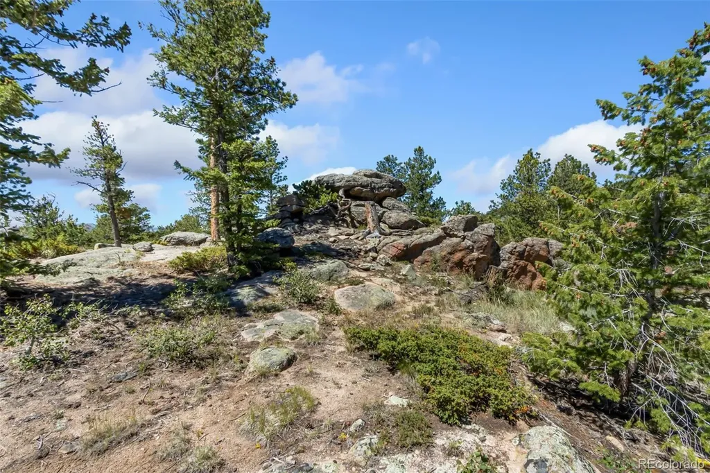 11 Inca Court Red Feather Lakes CO 80545