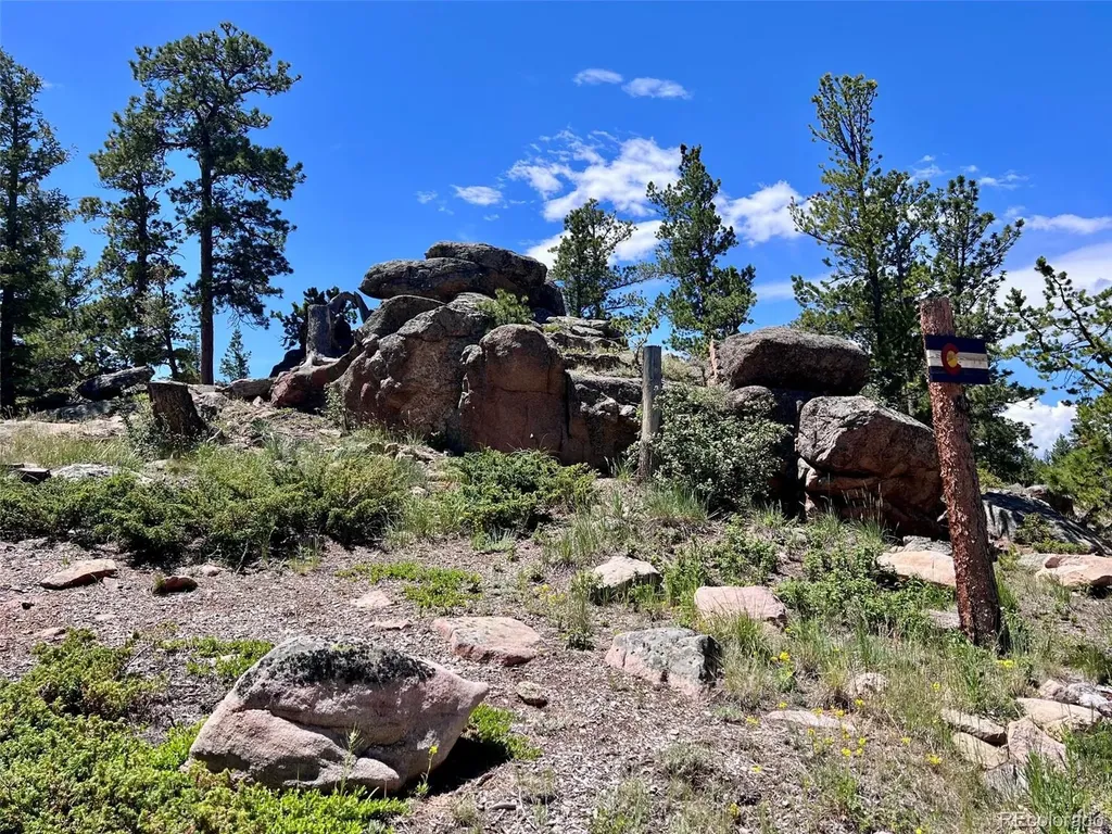 11 Inca Court Red Feather Lakes CO 80545