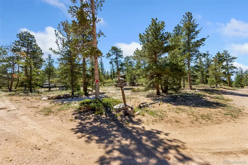 11 Inca Court Red Feather Lakes CO 80545