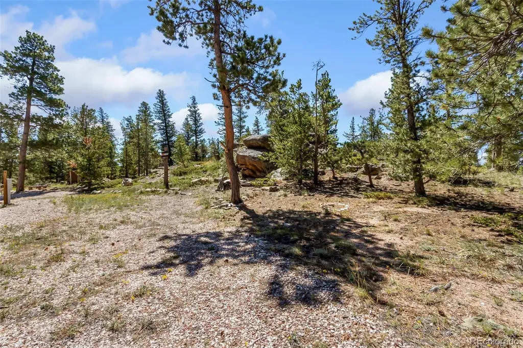 11 Inca Court Red Feather Lakes CO 80545
