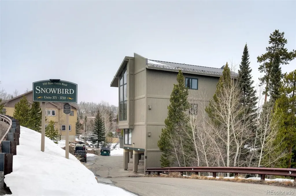 3710 Ryan Gulch Road Silverthorne CO 80498